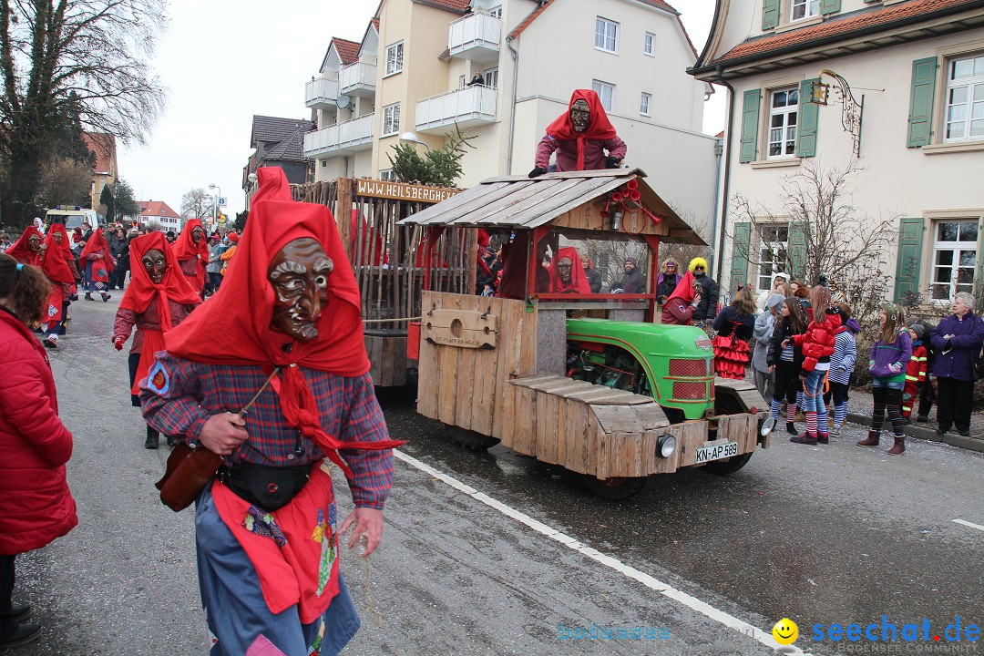 Rosenmontagsumzug: Gottmadingen am Bodensee, 11.02.2013