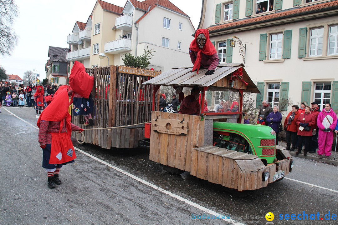 Rosenmontagsumzug: Gottmadingen am Bodensee, 11.02.2013