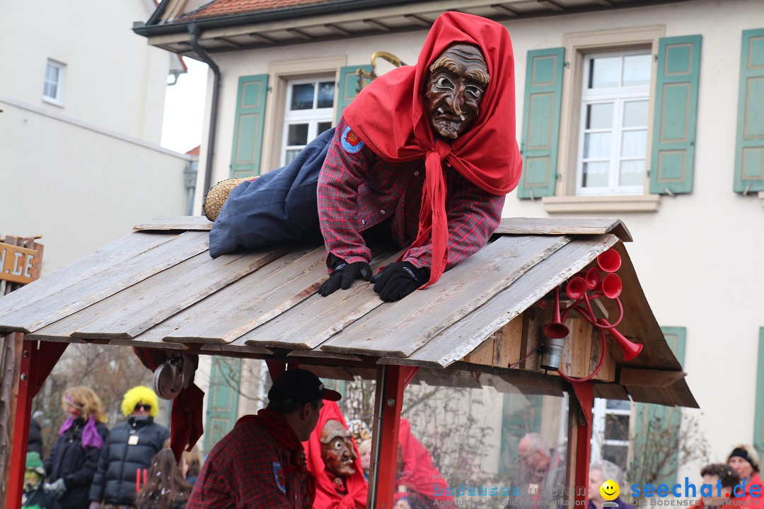 Rosenmontagsumzug: Gottmadingen am Bodensee, 11.02.2013