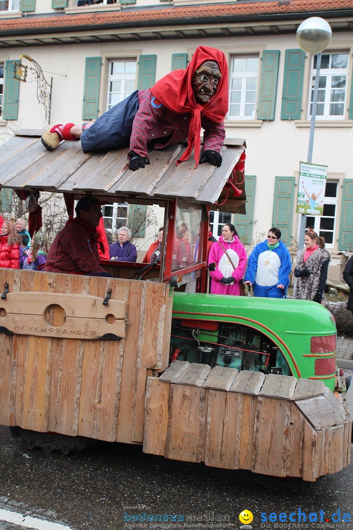 Rosenmontagsumzug: Gottmadingen am Bodensee, 11.02.2013