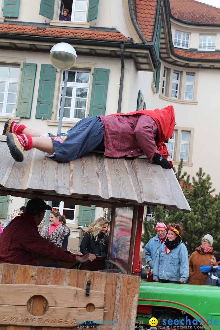 Rosenmontagsumzug: Gottmadingen am Bodensee, 11.02.2013