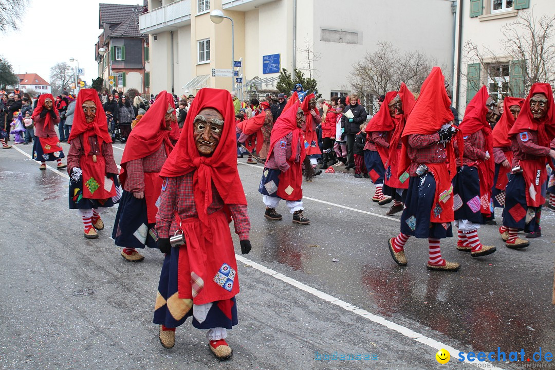 Rosenmontagsumzug: Gottmadingen am Bodensee, 11.02.2013