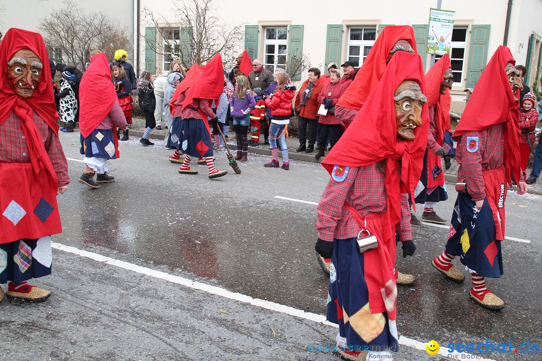 Rosenmontagsumzug: Gottmadingen am Bodensee, 11.02.2013