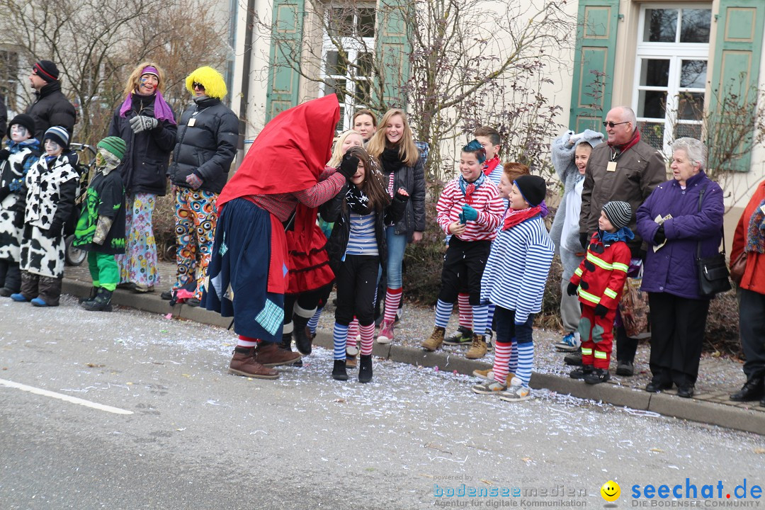 Rosenmontagsumzug: Gottmadingen am Bodensee, 11.02.2013