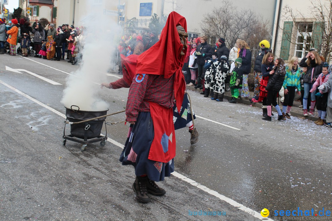 Rosenmontagsumzug: Gottmadingen am Bodensee, 11.02.2013