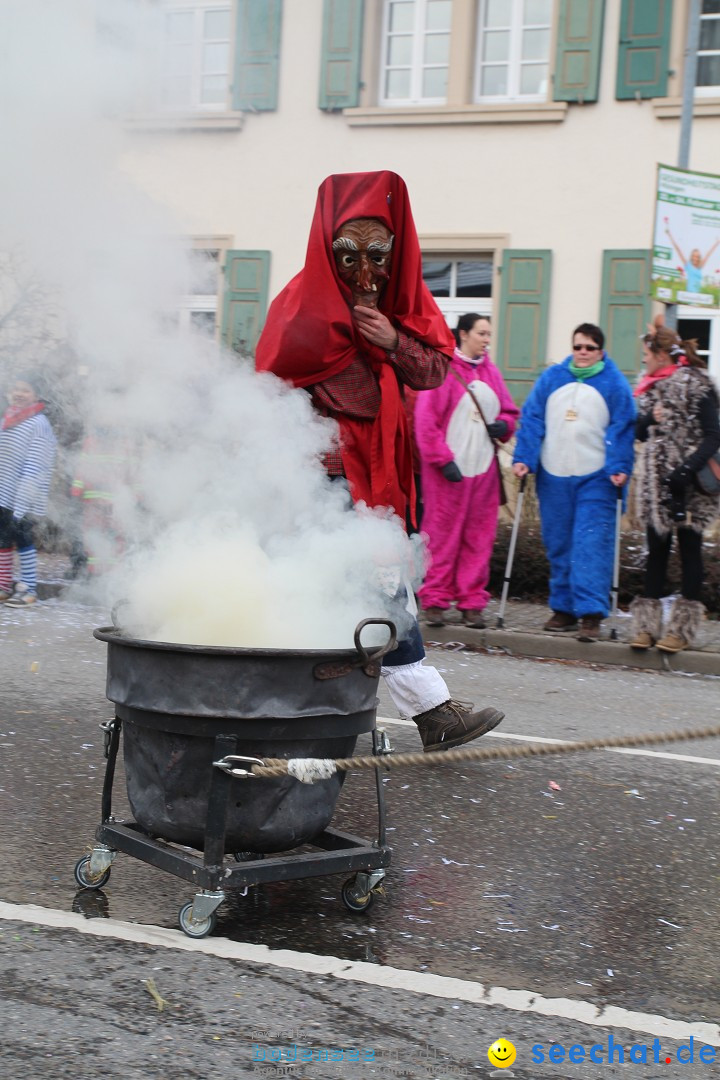 Rosenmontagsumzug: Gottmadingen am Bodensee, 11.02.2013