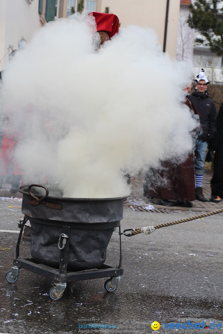 Rosenmontagsumzug: Gottmadingen am Bodensee, 11.02.2013