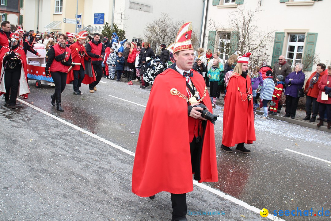 Rosenmontagsumzug: Gottmadingen am Bodensee, 11.02.2013