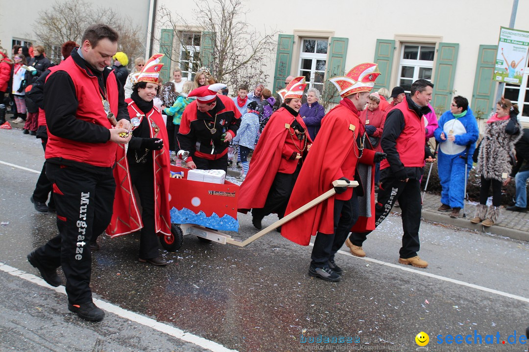 Rosenmontagsumzug: Gottmadingen am Bodensee, 11.02.2013