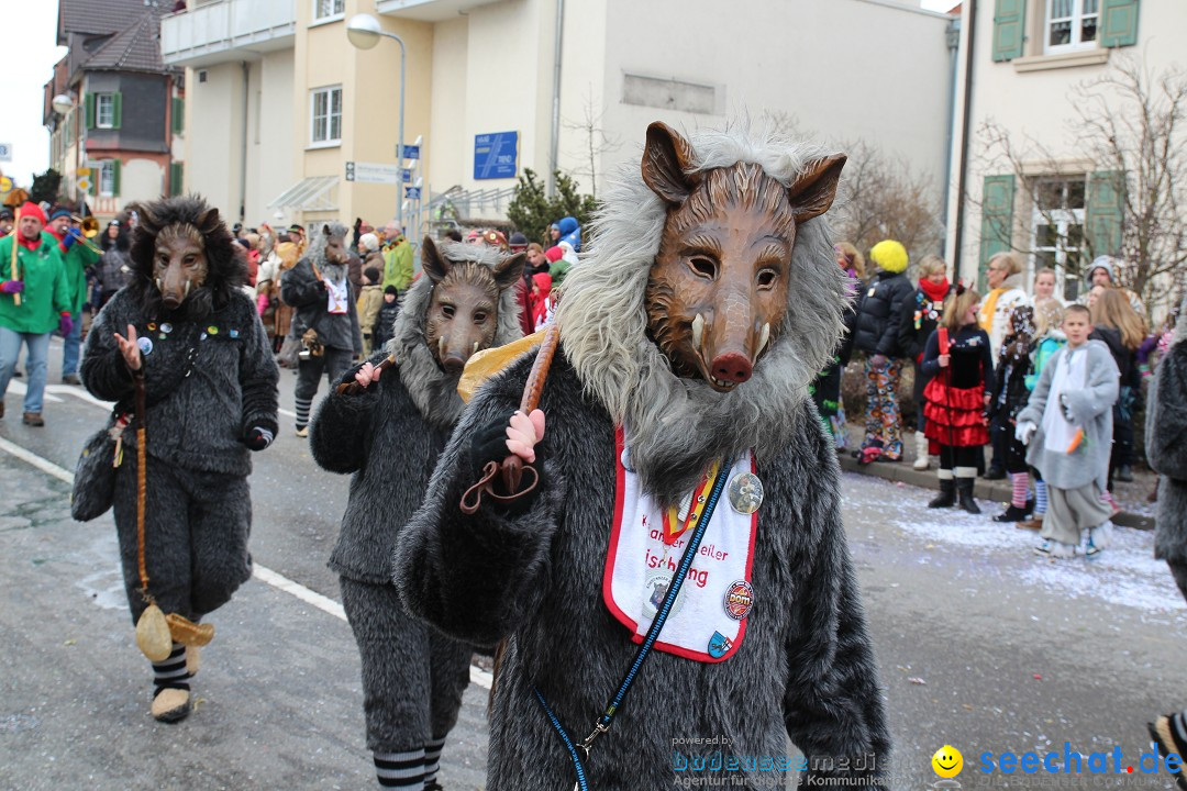 Rosenmontagsumzug: Gottmadingen am Bodensee, 11.02.2013