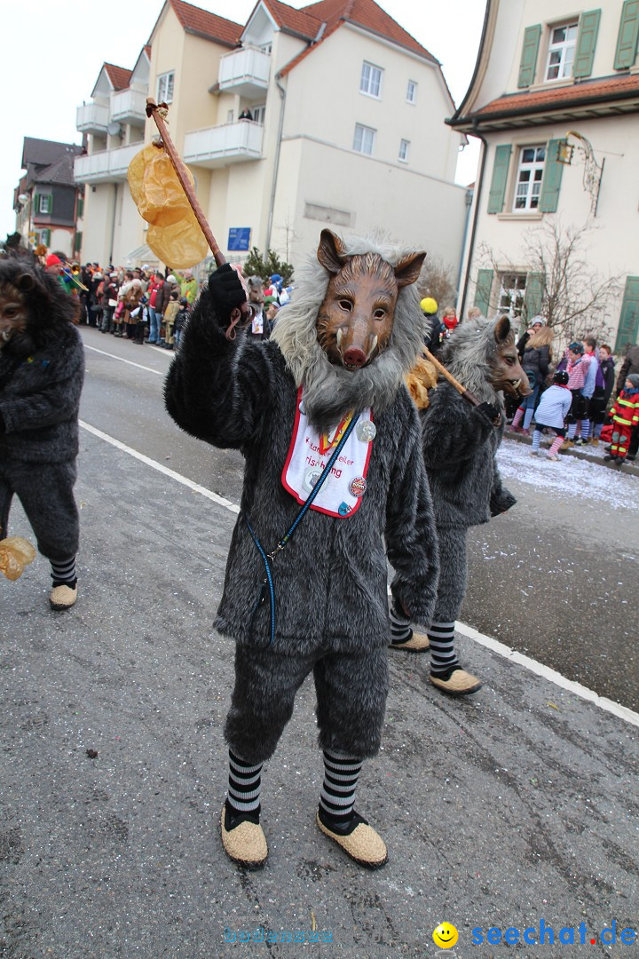 Rosenmontagsumzug: Gottmadingen am Bodensee, 11.02.2013