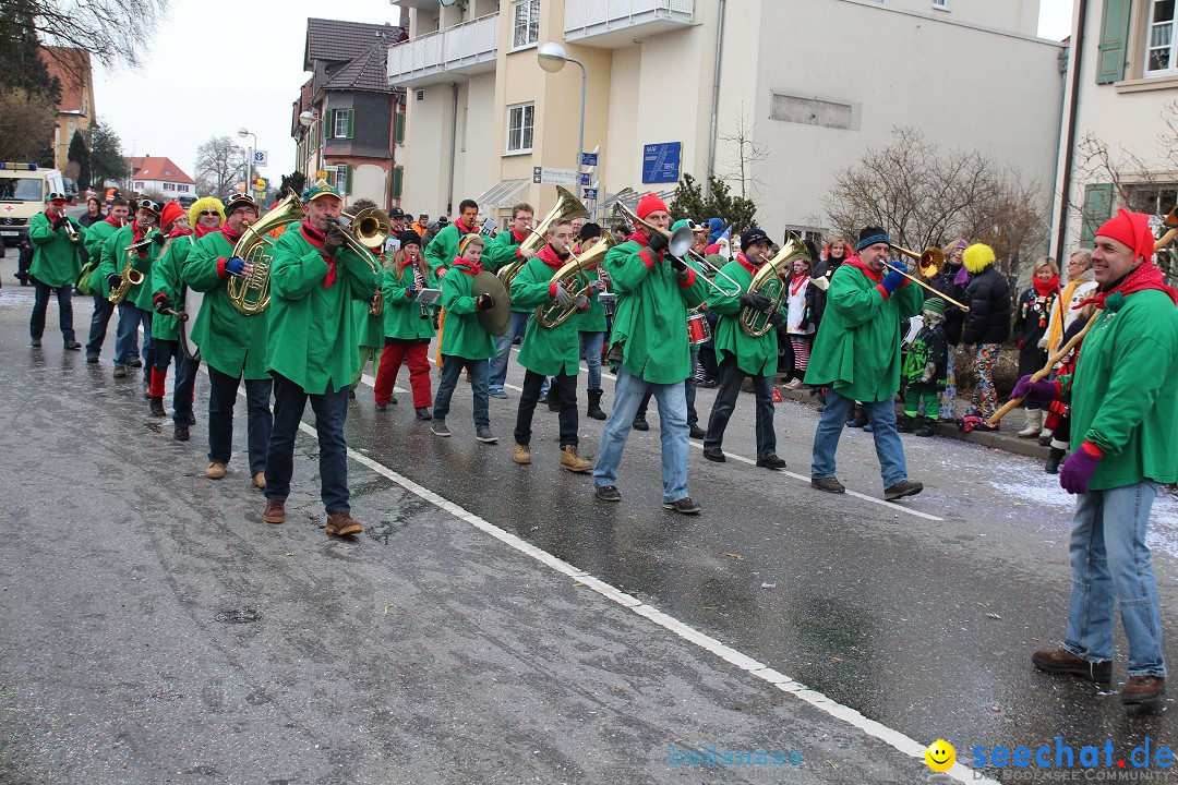 Rosenmontagsumzug: Gottmadingen am Bodensee, 11.02.2013