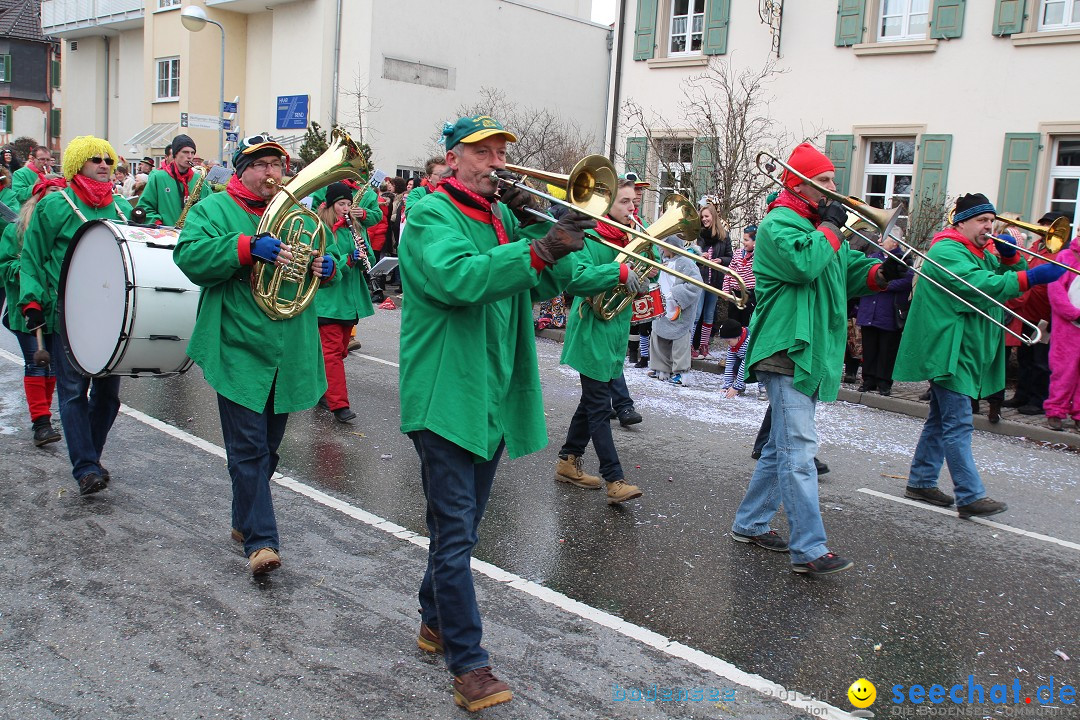 Rosenmontagsumzug: Gottmadingen am Bodensee, 11.02.2013