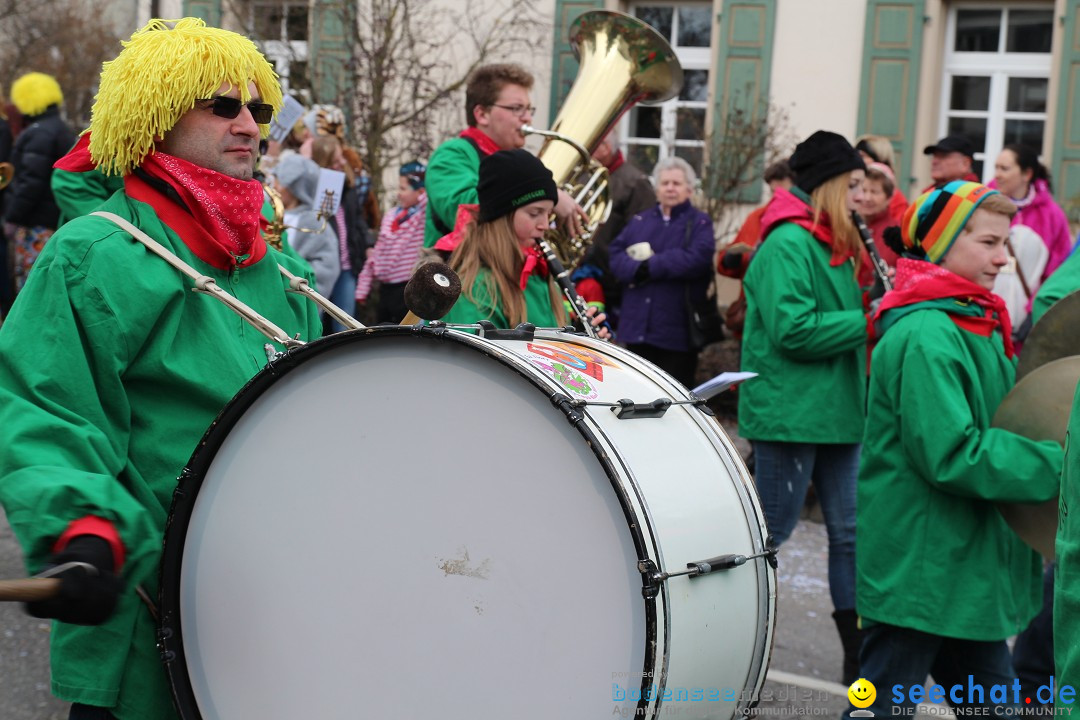 Rosenmontagsumzug: Gottmadingen am Bodensee, 11.02.2013