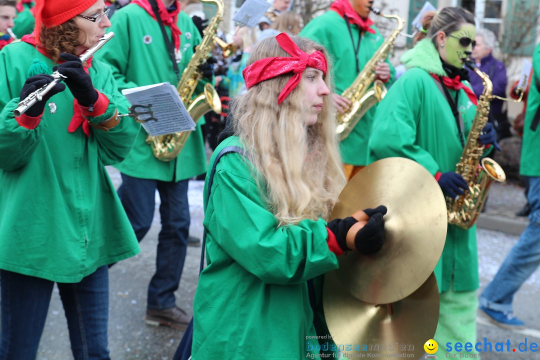 Rosenmontagsumzug: Gottmadingen am Bodensee, 11.02.2013