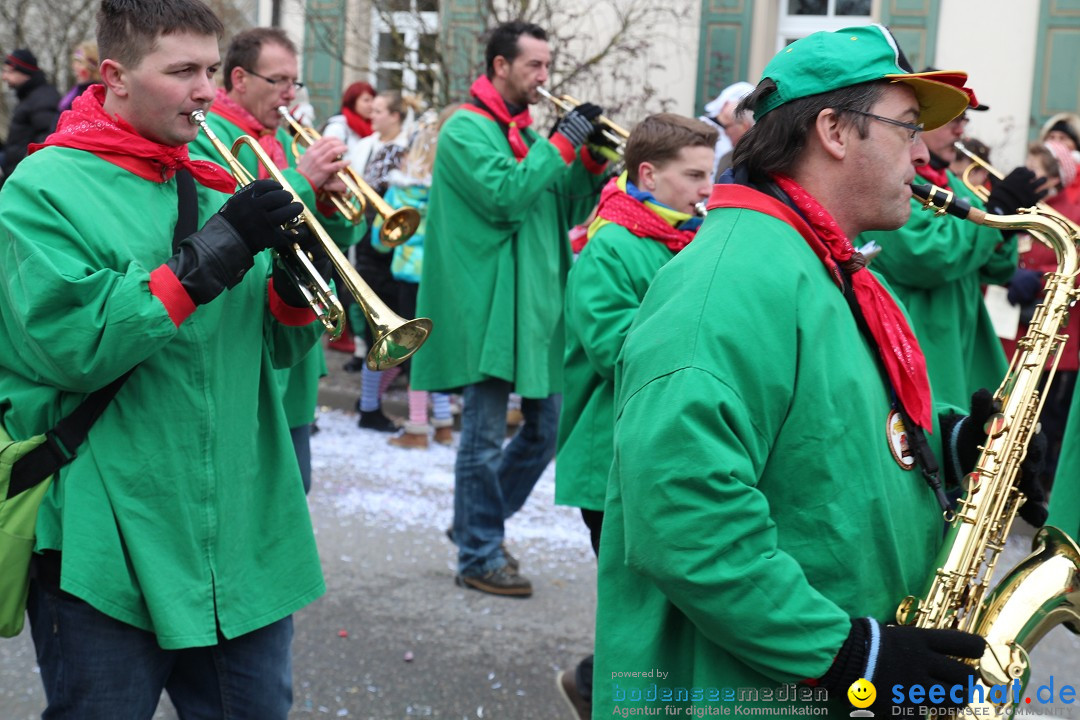 Rosenmontagsumzug: Gottmadingen am Bodensee, 11.02.2013