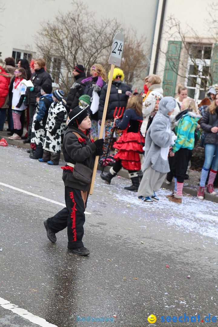 Rosenmontagsumzug: Gottmadingen am Bodensee, 11.02.2013