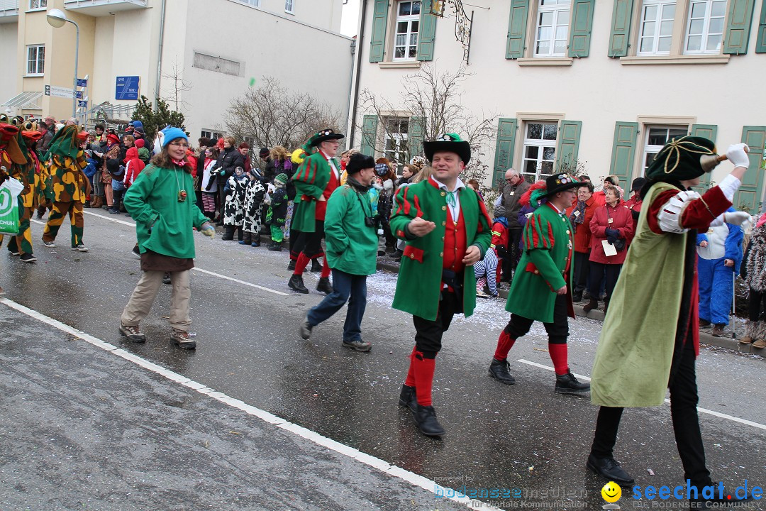 Rosenmontagsumzug: Gottmadingen am Bodensee, 11.02.2013