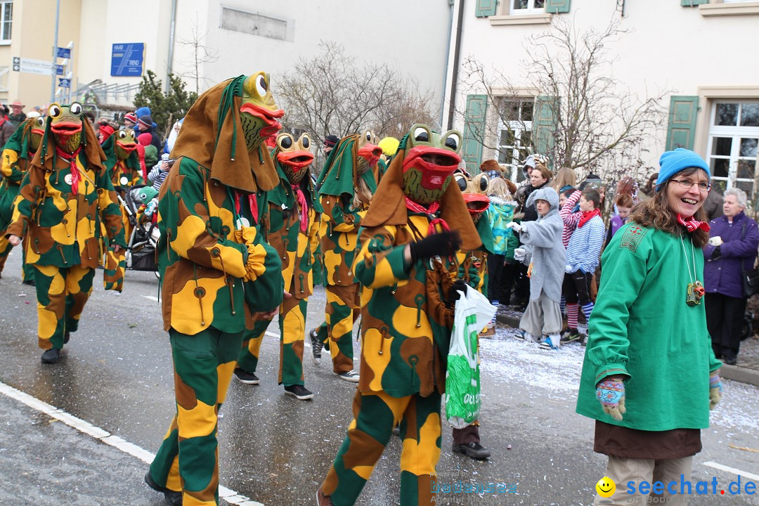 Rosenmontagsumzug: Gottmadingen am Bodensee, 11.02.2013