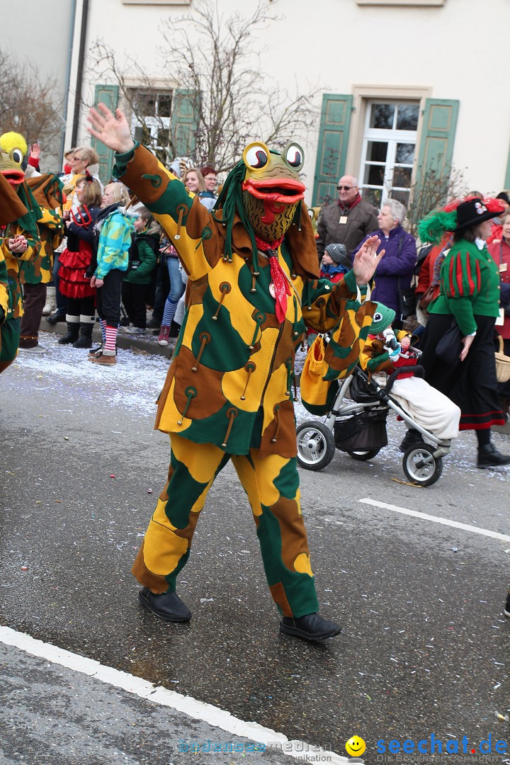 Rosenmontagsumzug: Gottmadingen am Bodensee, 11.02.2013