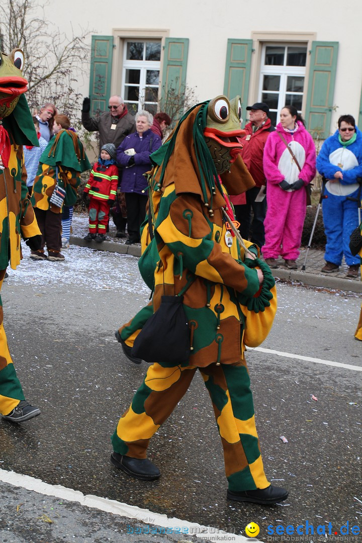 Rosenmontagsumzug: Gottmadingen am Bodensee, 11.02.2013