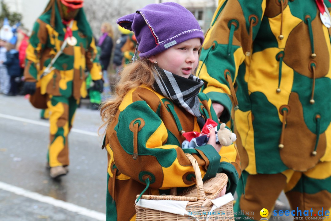 Rosenmontagsumzug: Gottmadingen am Bodensee, 11.02.2013