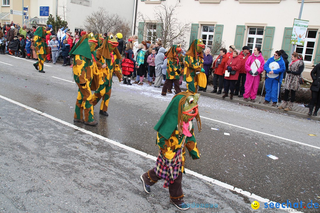 Rosenmontagsumzug: Gottmadingen am Bodensee, 11.02.2013