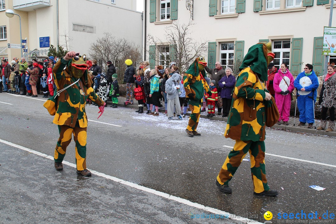 Rosenmontagsumzug: Gottmadingen am Bodensee, 11.02.2013