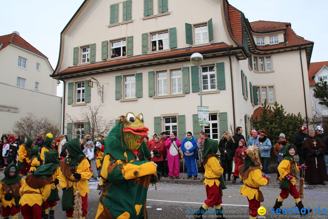 Rosenmontagsumzug: Gottmadingen am Bodensee, 11.02.2013