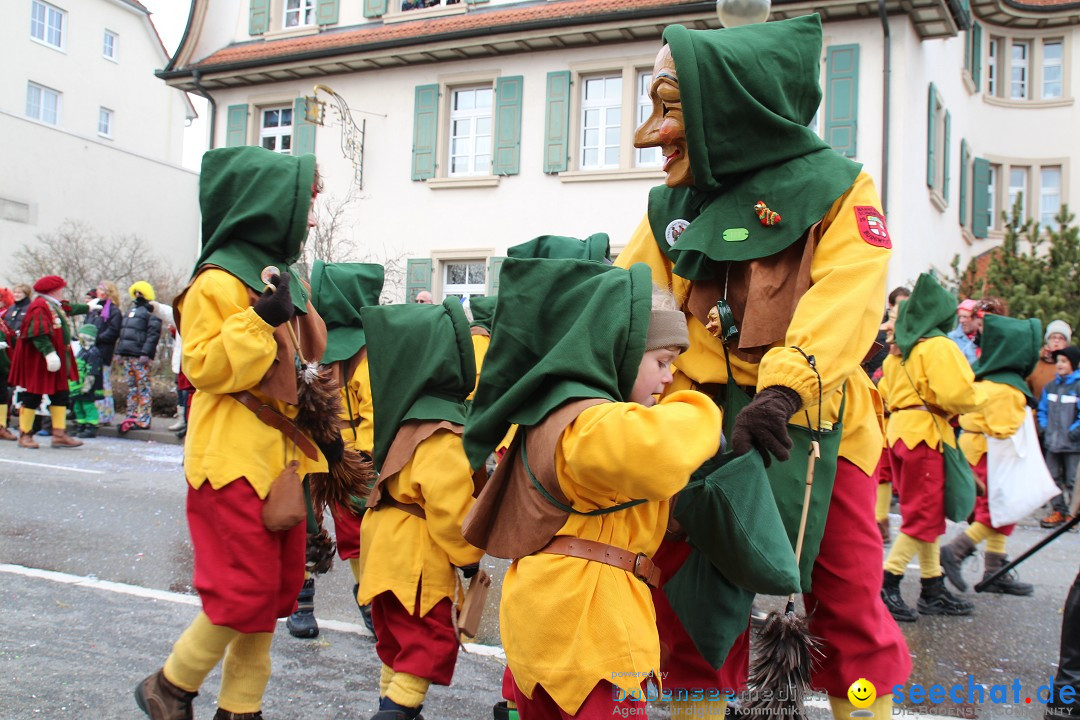 Rosenmontagsumzug: Gottmadingen am Bodensee, 11.02.2013