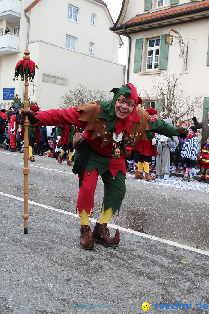 Rosenmontagsumzug: Gottmadingen am Bodensee, 11.02.2013