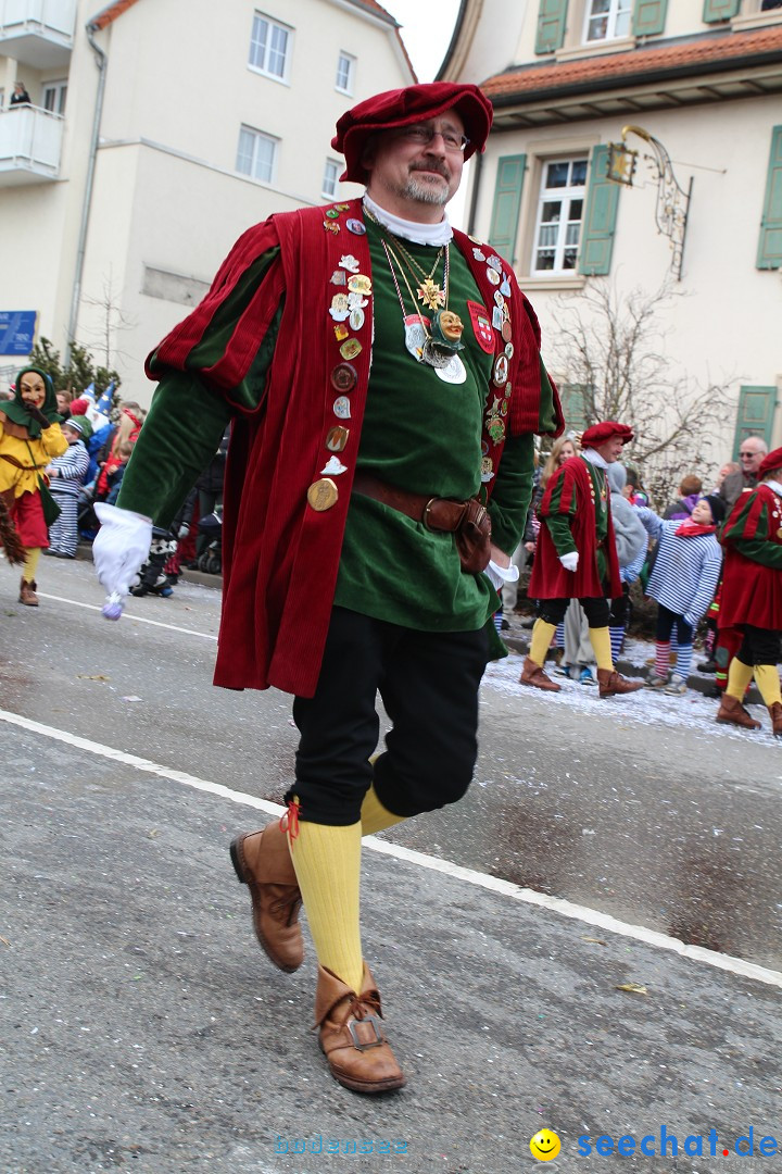 Rosenmontagsumzug: Gottmadingen am Bodensee, 11.02.2013