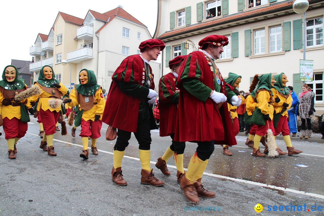 Rosenmontagsumzug: Gottmadingen am Bodensee, 11.02.2013