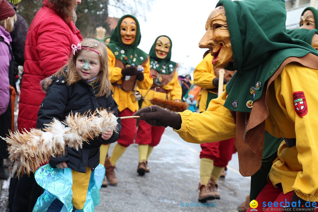 Rosenmontagsumzug: Gottmadingen am Bodensee, 11.02.2013