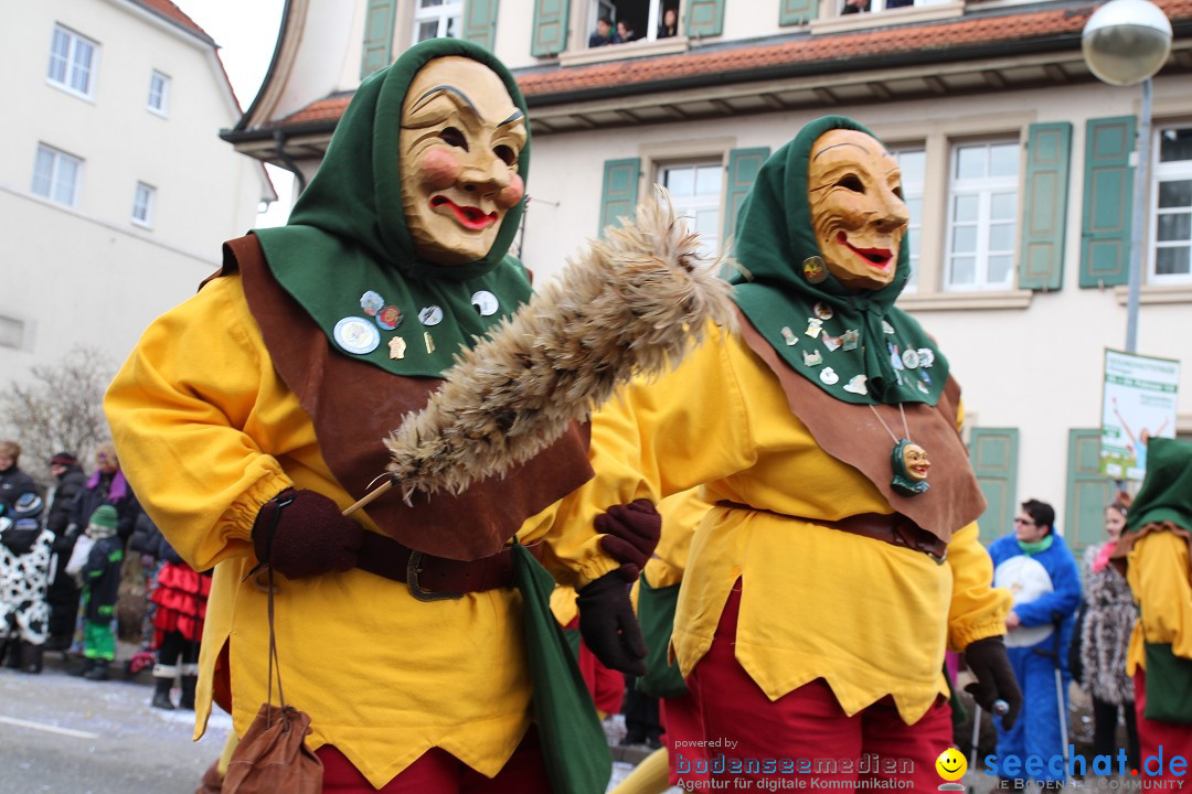 Rosenmontagsumzug: Gottmadingen am Bodensee, 11.02.2013