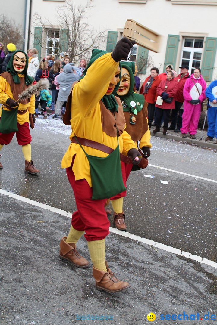 Rosenmontagsumzug: Gottmadingen am Bodensee, 11.02.2013