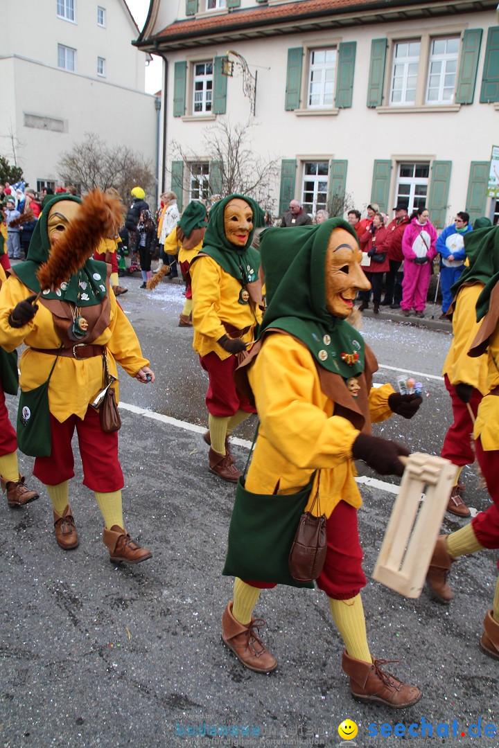 Rosenmontagsumzug: Gottmadingen am Bodensee, 11.02.2013