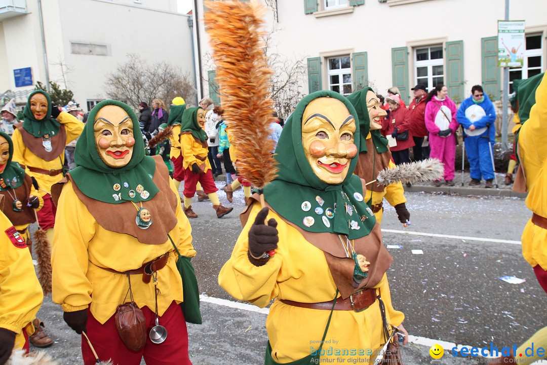 Rosenmontagsumzug: Gottmadingen am Bodensee, 11.02.2013