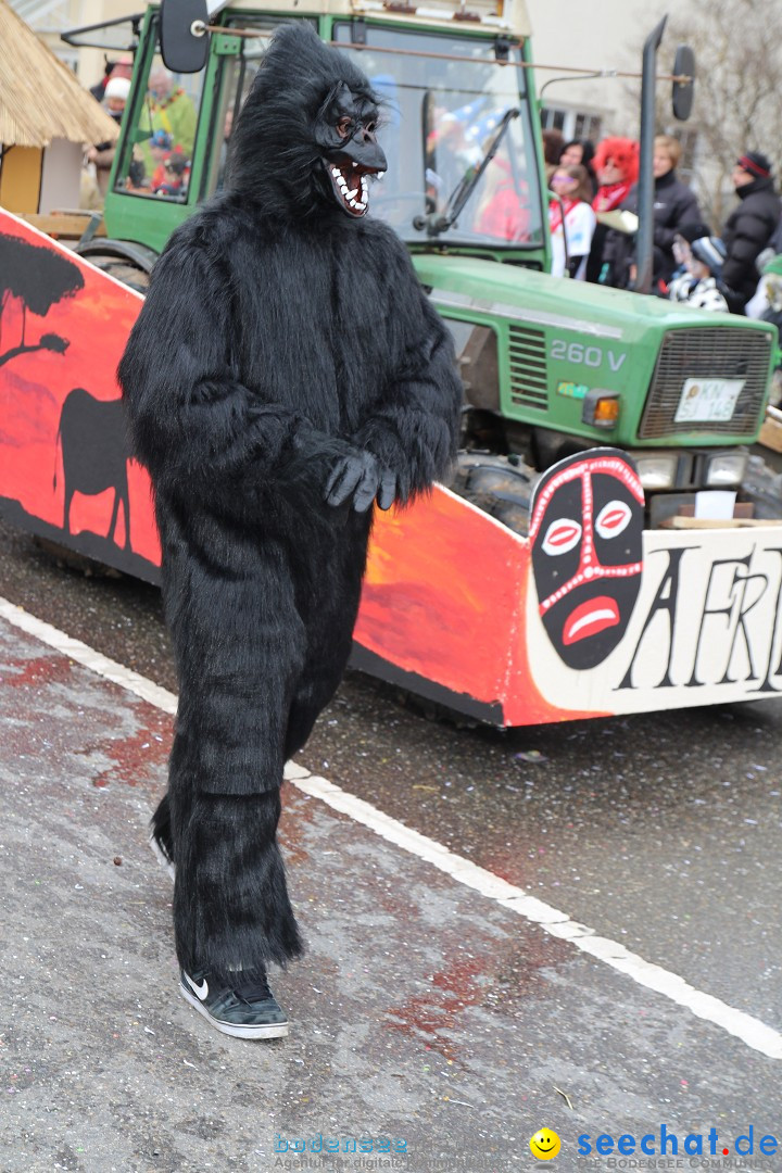 Rosenmontagsumzug: Gottmadingen am Bodensee, 11.02.2013