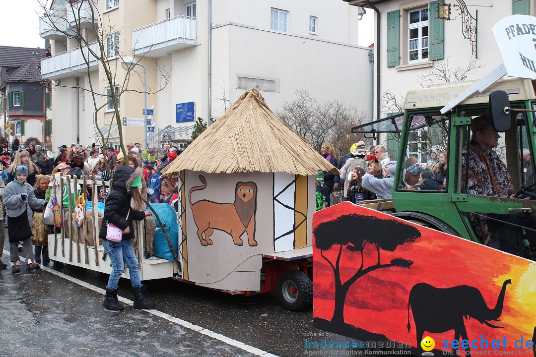 Rosenmontagsumzug: Gottmadingen am Bodensee, 11.02.2013