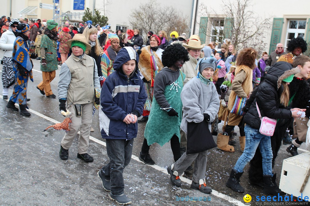 Rosenmontagsumzug: Gottmadingen am Bodensee, 11.02.2013