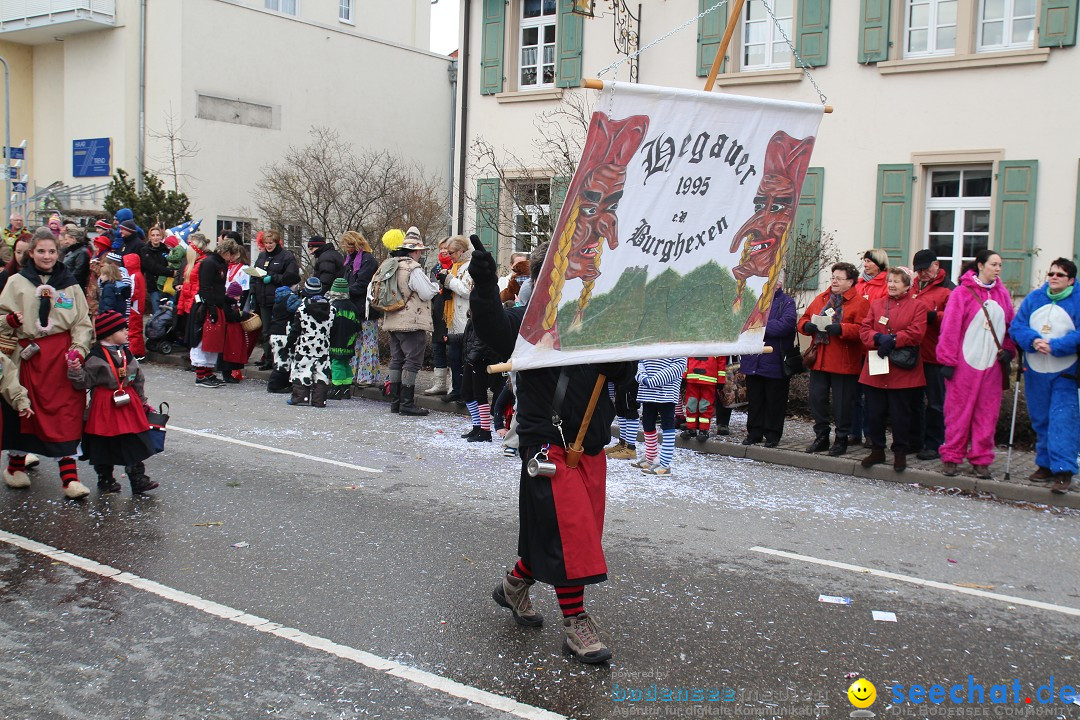 Rosenmontagsumzug: Gottmadingen am Bodensee, 11.02.2013