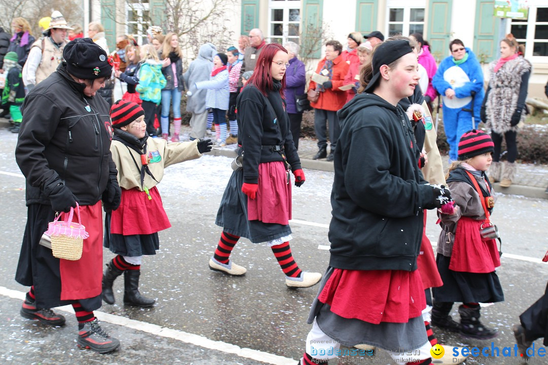 Rosenmontagsumzug: Gottmadingen am Bodensee, 11.02.2013