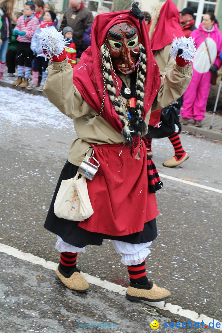 Rosenmontagsumzug: Gottmadingen am Bodensee, 11.02.2013