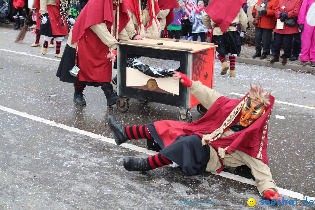 Rosenmontagsumzug: Gottmadingen am Bodensee, 11.02.2013