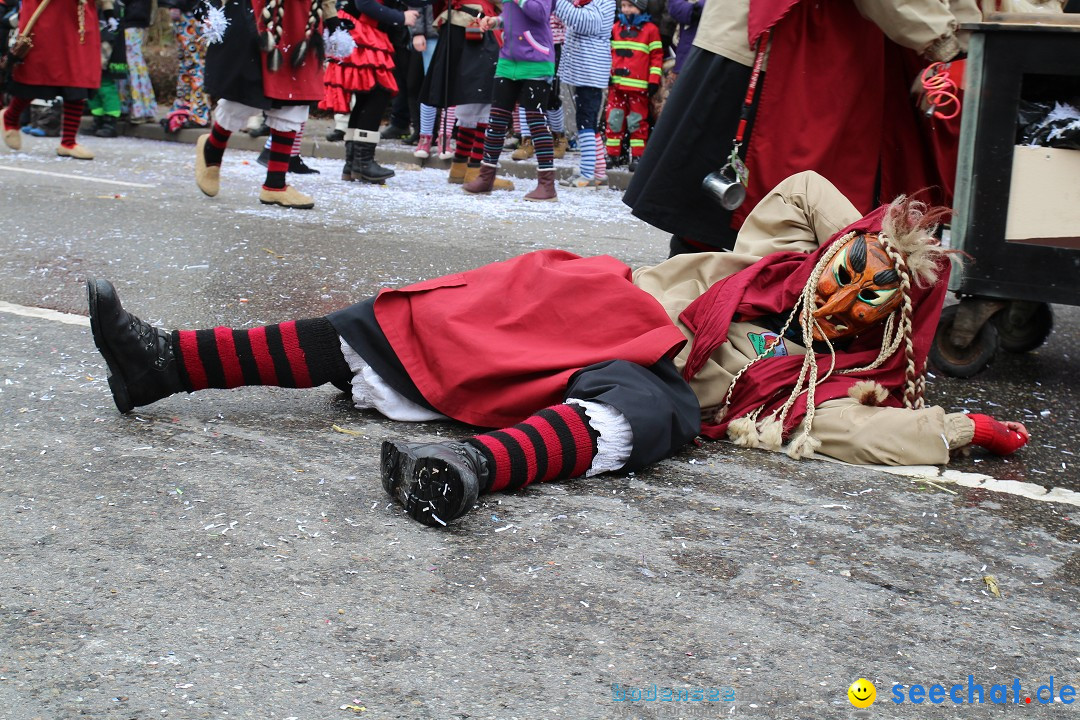 Rosenmontagsumzug: Gottmadingen am Bodensee, 11.02.2013