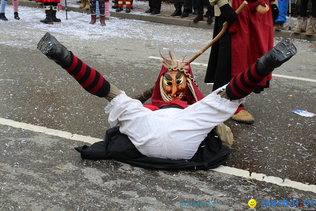 Rosenmontagsumzug: Gottmadingen am Bodensee, 11.02.2013