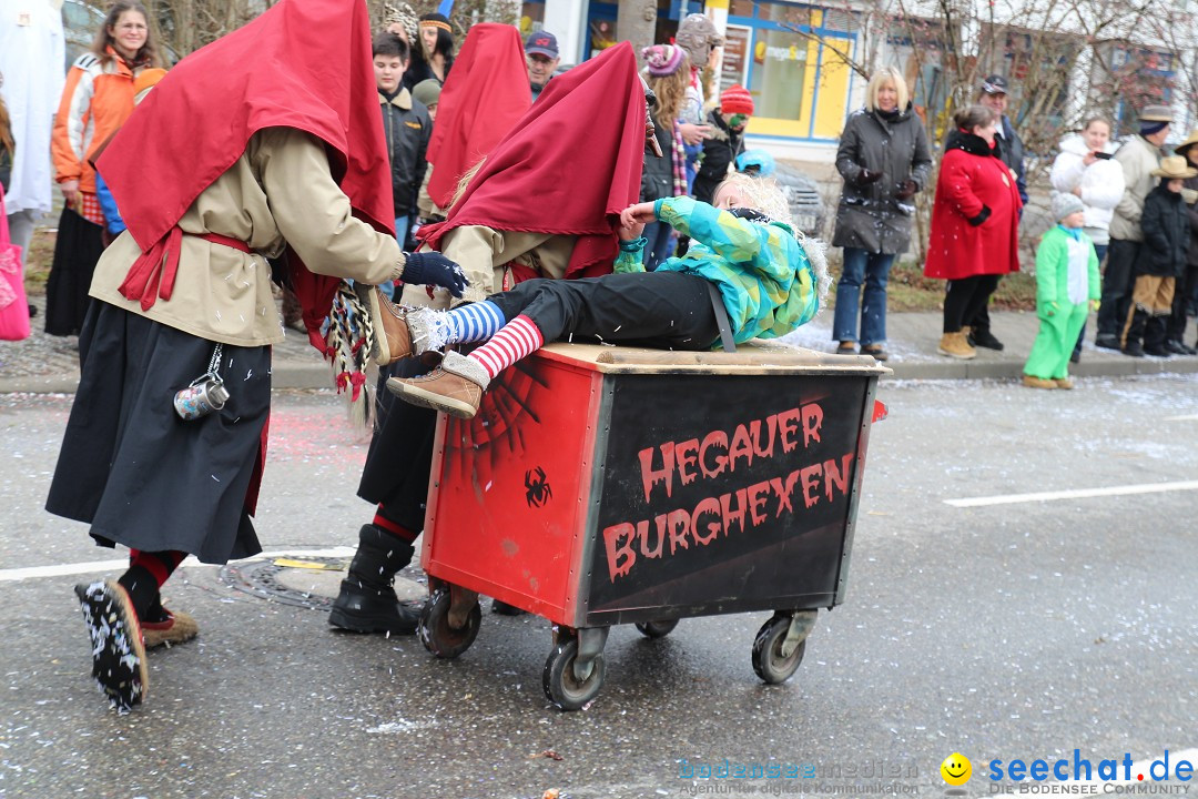 Rosenmontagsumzug: Gottmadingen am Bodensee, 11.02.2013