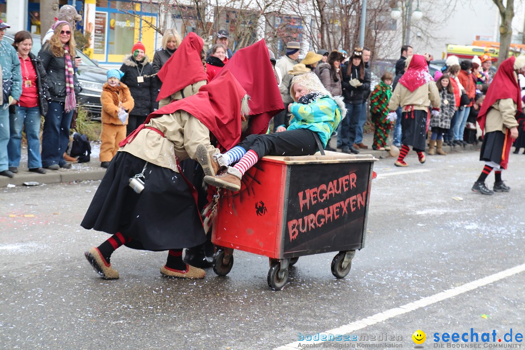 Rosenmontagsumzug: Gottmadingen am Bodensee, 11.02.2013