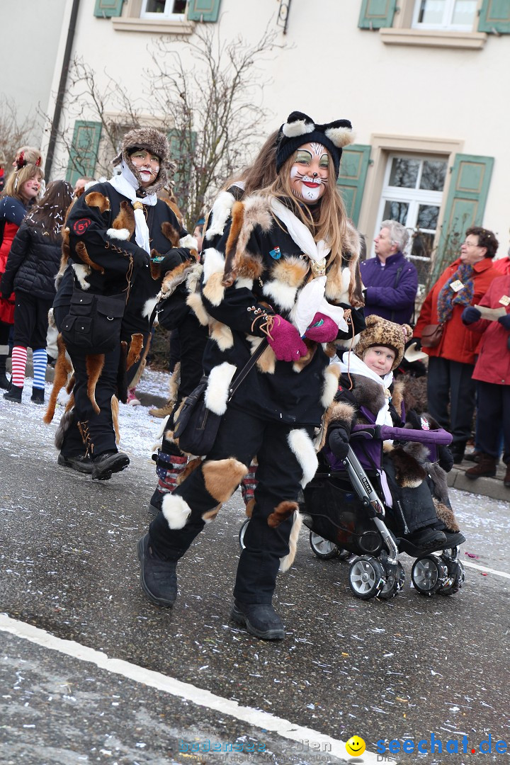 Rosenmontagsumzug: Gottmadingen am Bodensee, 11.02.2013